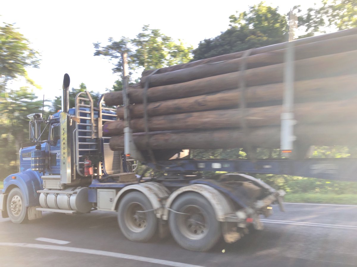 tim_cadman's tweet photo. Another week of logging, sigh. #savetarkeeth https://t.co/ay6VGDqZ22