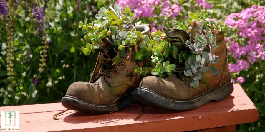 rick_carruth's tweet photo. With access to this guide, your container #garden has a good chance of success. #hometips  https://t.co/Y1z5ypEeyH https://t.co/pTnR0XjAUc
