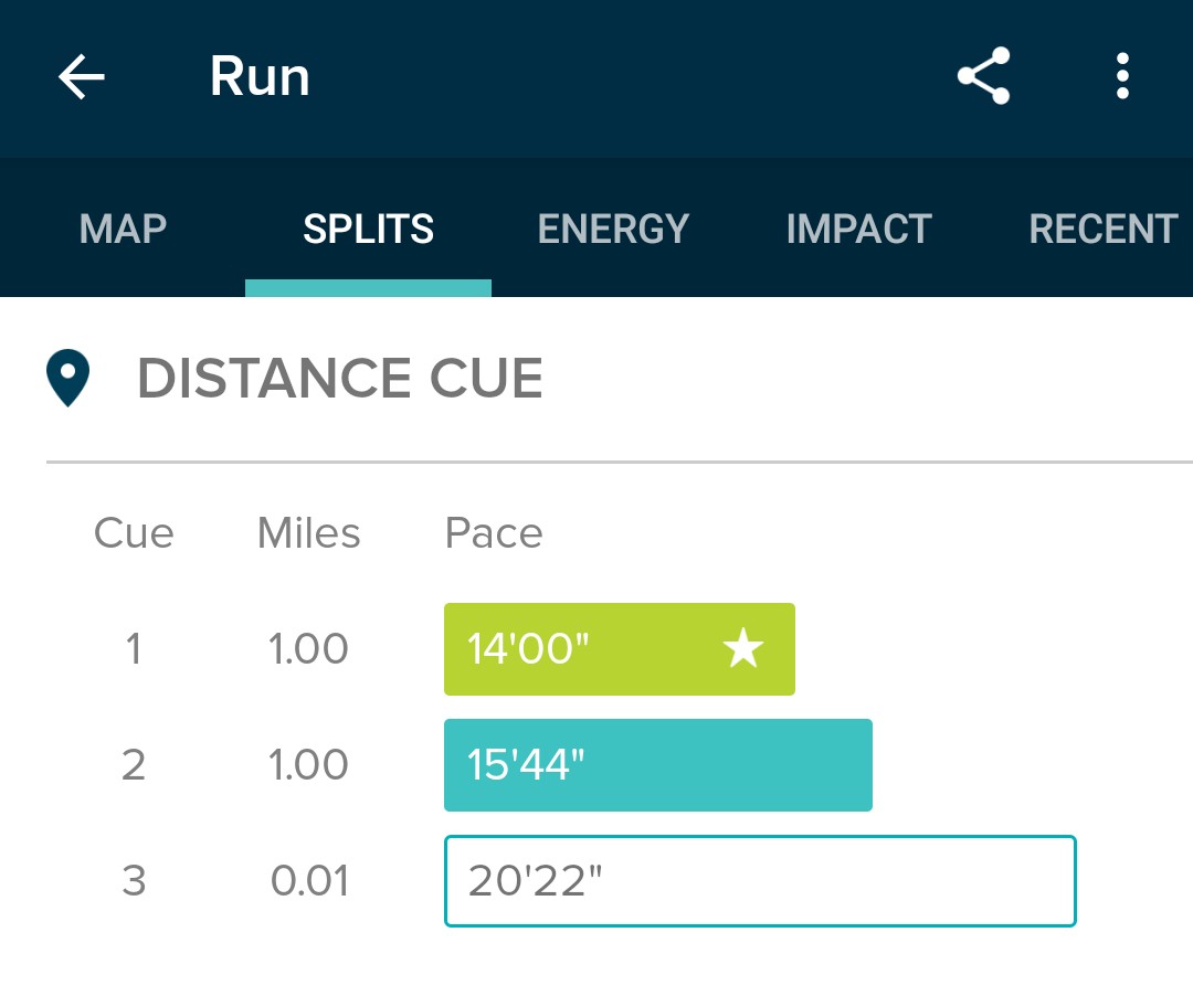LudeLude22's tweet photo. All the problems in the world, and my brain needed a good distraction today. First post baby run, and first outdoor run in over a year and a half! The sunshine felt so good and my mind is at peace for the moment #runMamarun #MPC2020 #Peaker4Life #runningtherapy https://t.co/4Ev3I9JYCy
