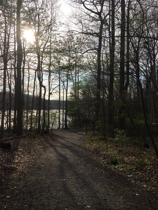 's Media: A little loop around Lake Accotink #trailrunning #marathontraining https://t.co/NKek5giBxv 's Media: A little loop around Lake Accotink #trailrunning #marathontraining https://t.co/NKek5giBxv