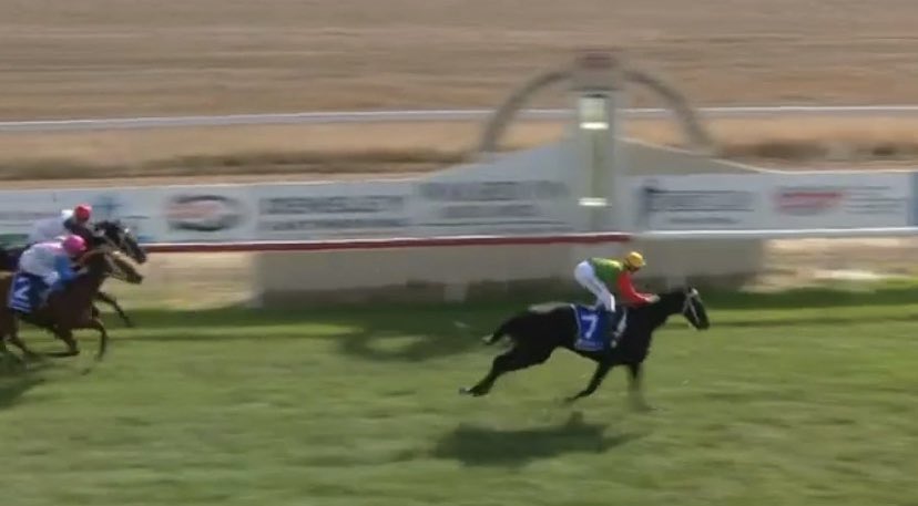 EquianoClub's tweet photo. #SPACEEQUITY 5G Equiano x Cybercyn (Staaraq) lands a well earned win at #Bordertown Sth Aus for Bordertown Tr #LindsayCadzow & Jk @LNeindorf ..#swettenhambred @newsellspark https://t.co/OduV7yJei1