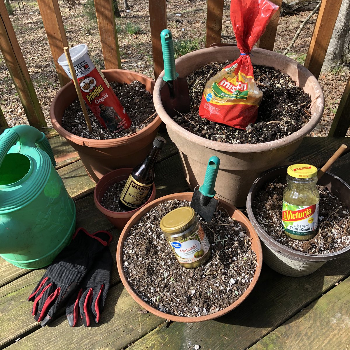 EurekaJanet's tweet photo. I’ve decided I’m going to grow some food.
I have pasta seeds to plant tomorrow.#StayAtHomeAndStaySafe #growyourown https://t.co/1z5EfKwAXz