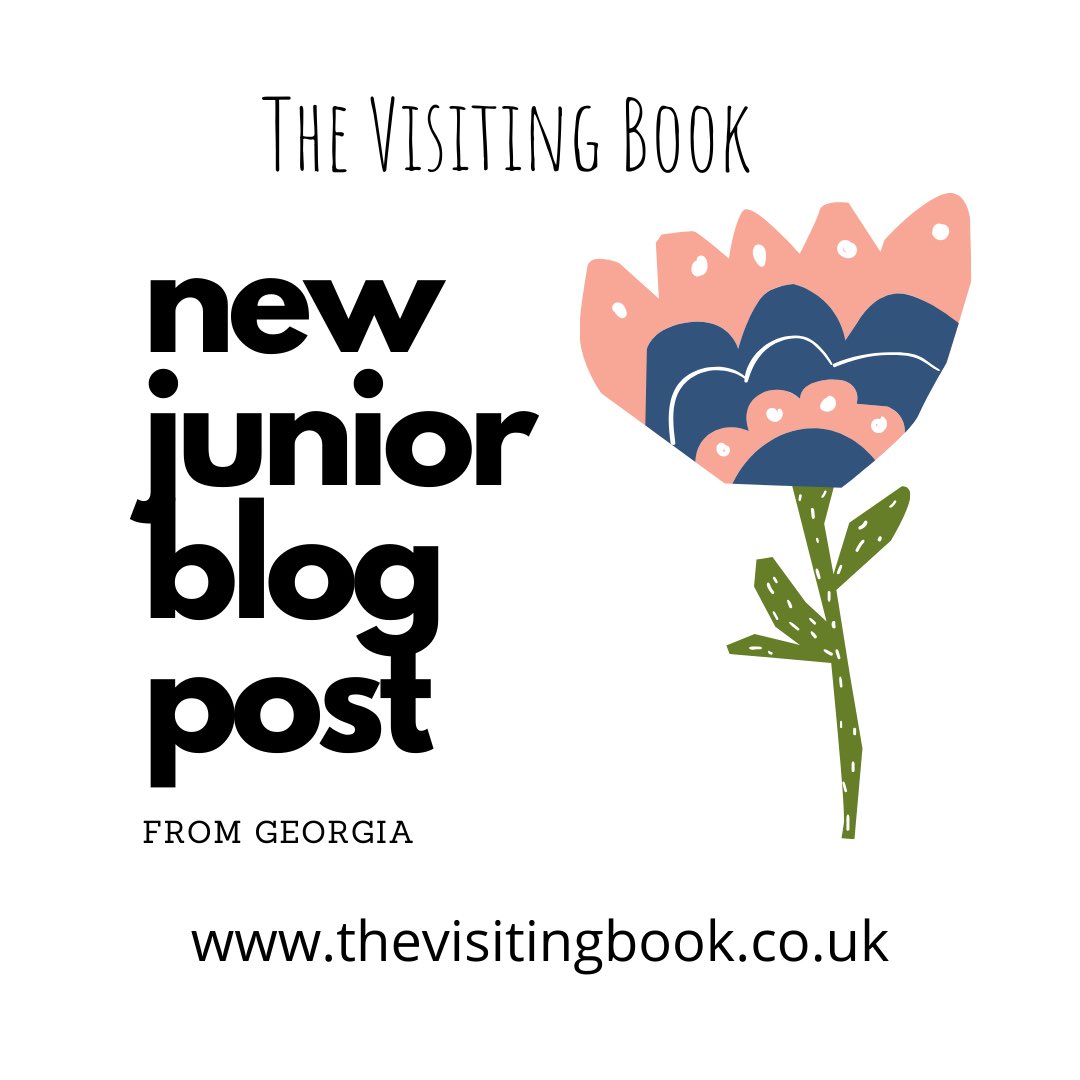 Delighted to publish the Visiting Books very first junior blog post from the lovely Georgia! I think you’ll agree she’s done a fab job. If you do too give it a like, share or tell your pals ❤️ #blogger #blog #thevisitingbook @bbcradiohumberside @daisapublishing <a href="/Therabbits21/">The Rabbit Hole Brigg</a>