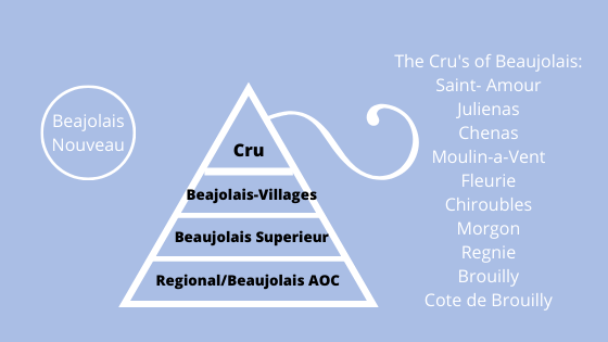 nycwinelist's tweet photo. The French Files: Beaujolais https://t.co/0Uau5bOHoL https://t.co/5MPX1LnJLp