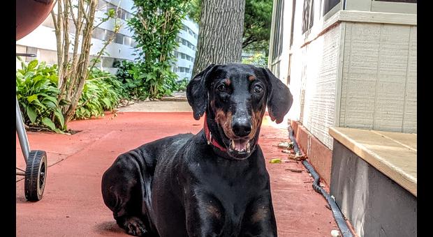 The Highland Park Landmark tweet media