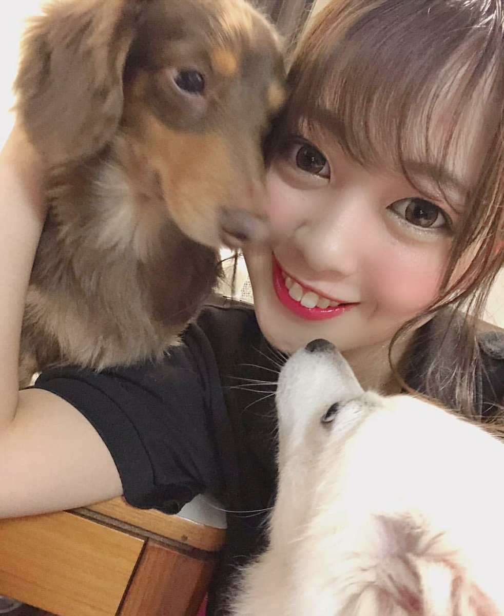 FUYu4649LOVe's tweet photo. みったんは愛犬達と過ごしたのかな。今はSNSで生の声や表情を配信出来る。
またみったん配信やってほしいな。みったんの声が俺らにとっては１番の元気になれる。遠くにいるファンも逢う事が出来るんだ！
#川田みはる #みったん #またLIVEやってね #楽しみに待ってるよ #大好き https://t.co/alJnyAyPy1
