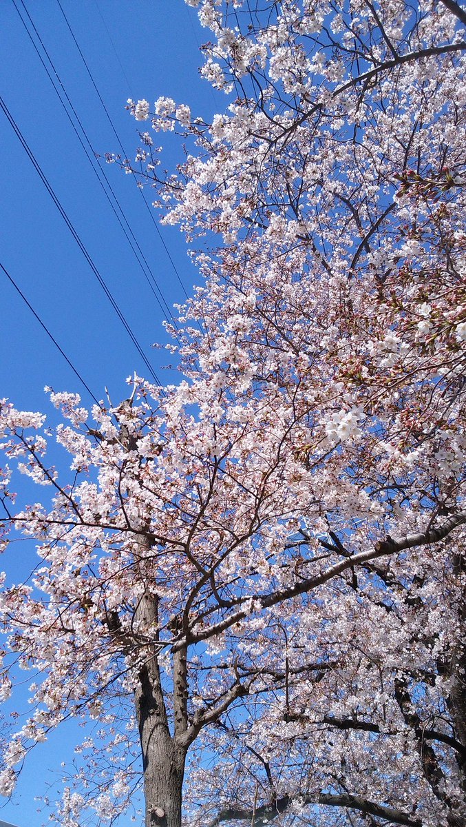 花曇り なぎたんのブログ