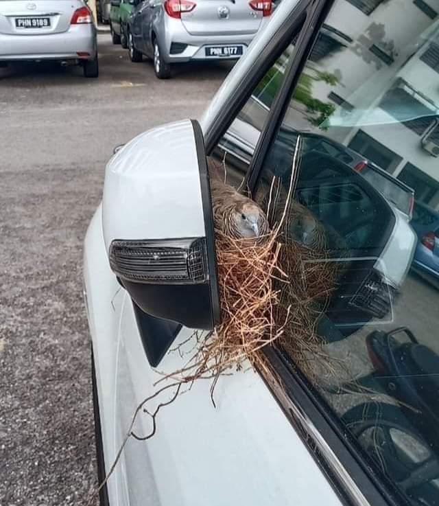 sandri_m_'s tweet image. Título para esta imagen.