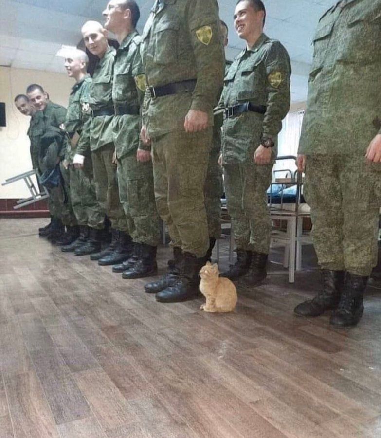 9GAG's tweet photo. When you lie on your resume and still get the job https://t.co/XKdaSZOdkC