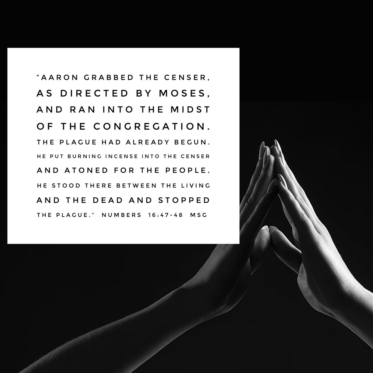 Jack Leaman tweet media