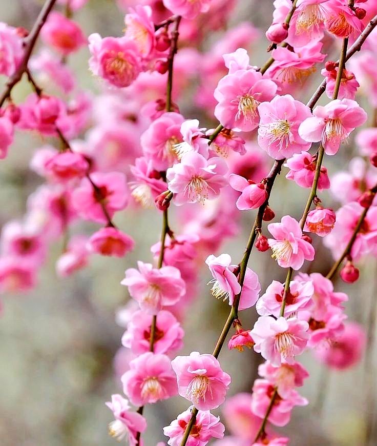 별이🌟 tweet media