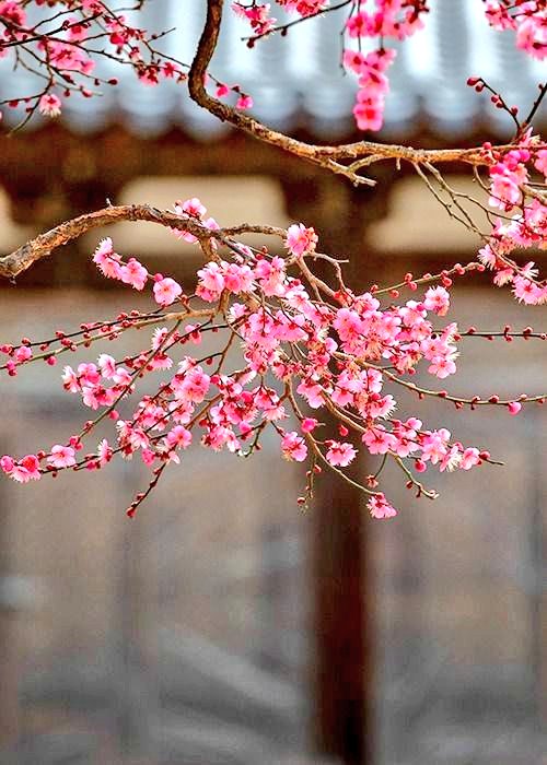 별이🌟 tweet media