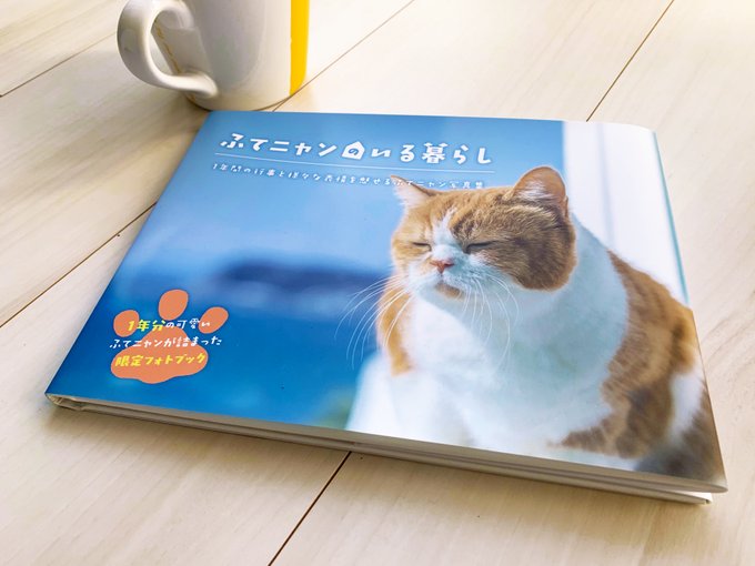 ふてニャンのいる暮らしってどんな感じ ふてニャンがかわいすぎる件 Itをもっと身近に ソフトバンクニュース