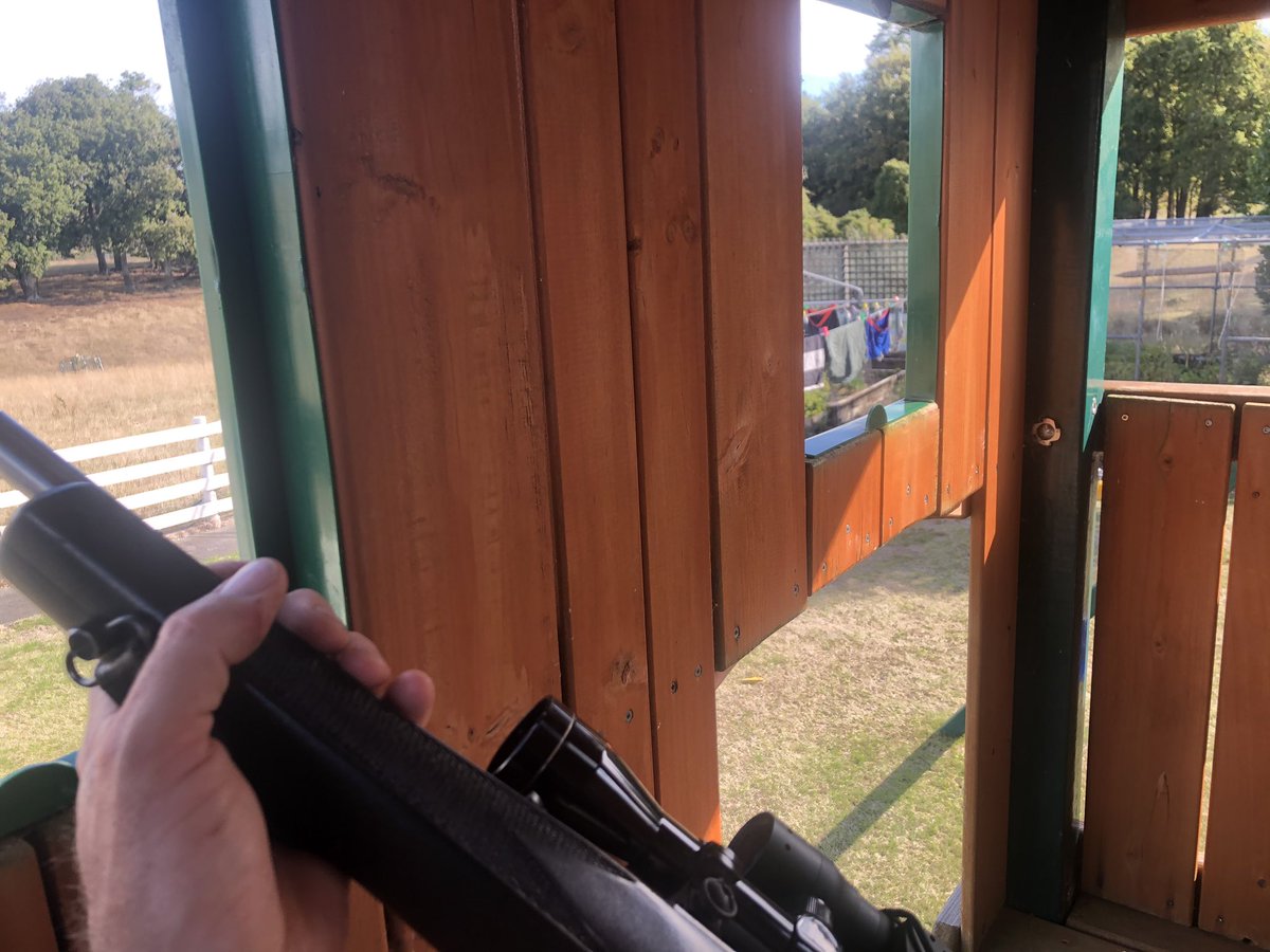 timgortonz's tweet photo. #sniperzone https://t.co/5wDsP1XEEX
