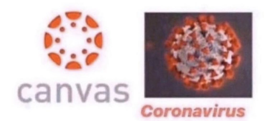 zoombackground's tweet photo. zoom background: what a coincidence 🤷🏽 #Covid_19 #coronavirusmemes #zoombackgrounds https://t.co/KQ91cxHKJi