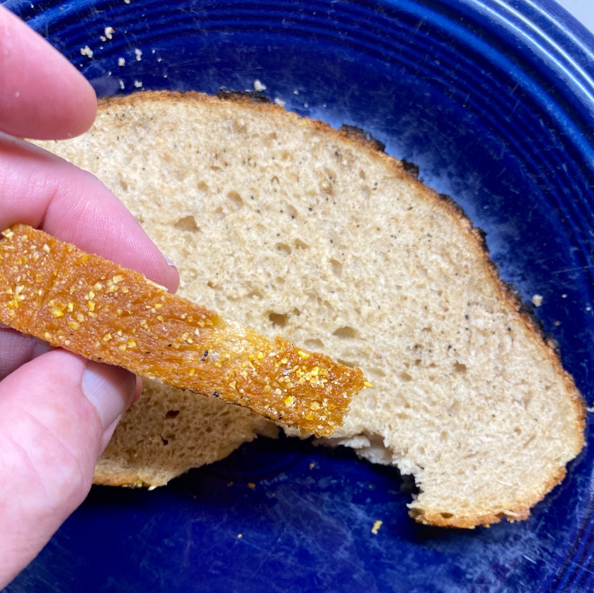 Today I achieved* something that I’ve been trying to do for a year. The slice of bread here was made with leavening cultures sampled from ancient Egyptian baking vessels, using ancient Emmer wheat, with an ancient Egyptian recipe, using ancient Egyptian baking tools, and NO OVEN.