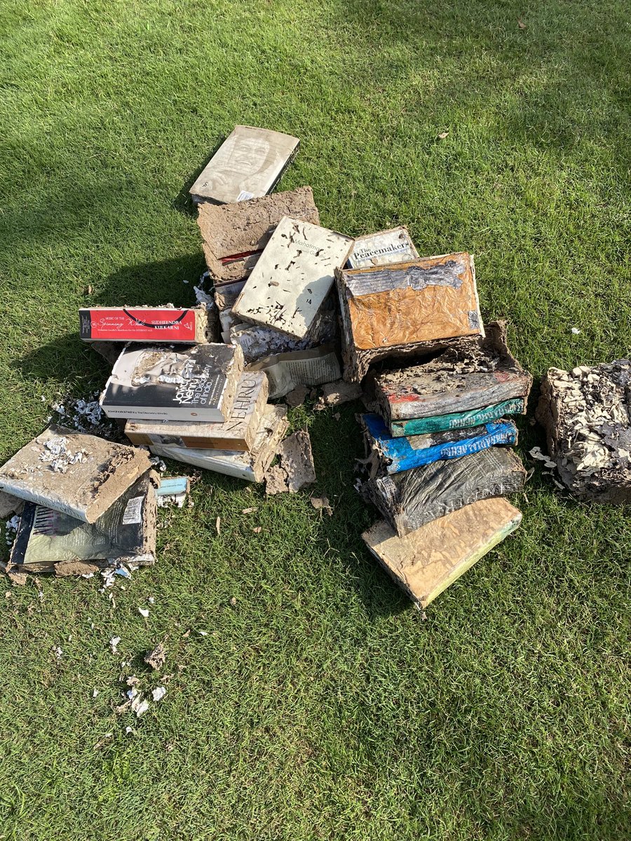 Just last year I had lost over 200 books to a termite infestation in my bookcases. Despite cleaning & treatment, another shelf succumbed today — all my Nehru books plus some on MahatmaGandhi & IndiraGandhi. Some irreplaceable out-of-print editions consumed by these tiny vandals!