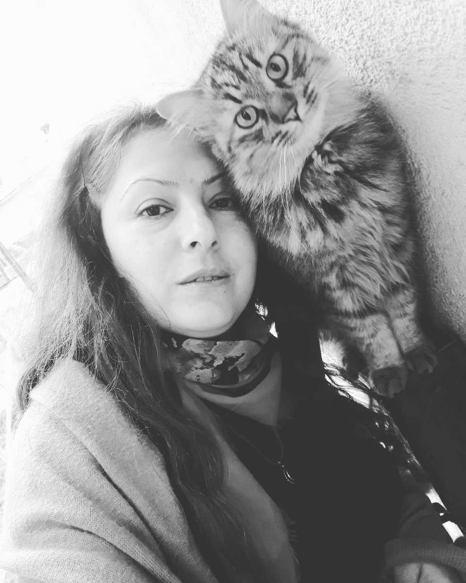 arife_ecem's tweet photo. #bendendahagüzel 🥰🦋🕊 https://t.co/Sit5nwJSwe