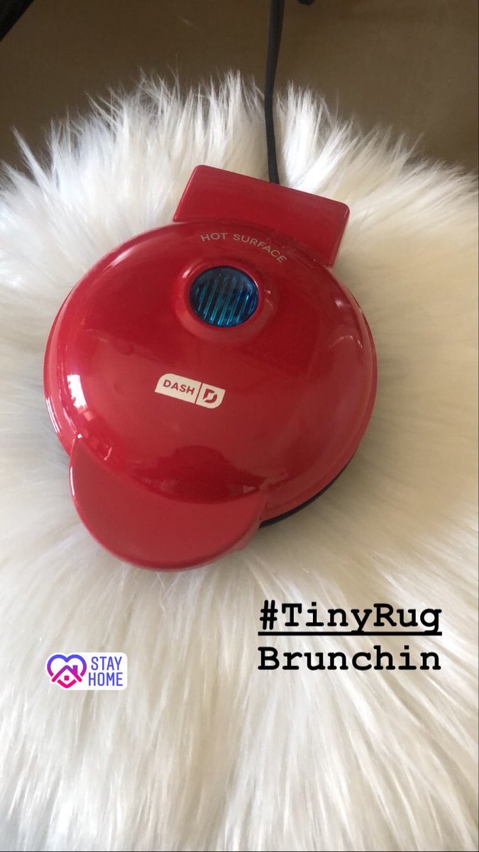CarlieCarpio's tweet photo. #TinyRug brunchin https://t.co/SVNKWNWsoY