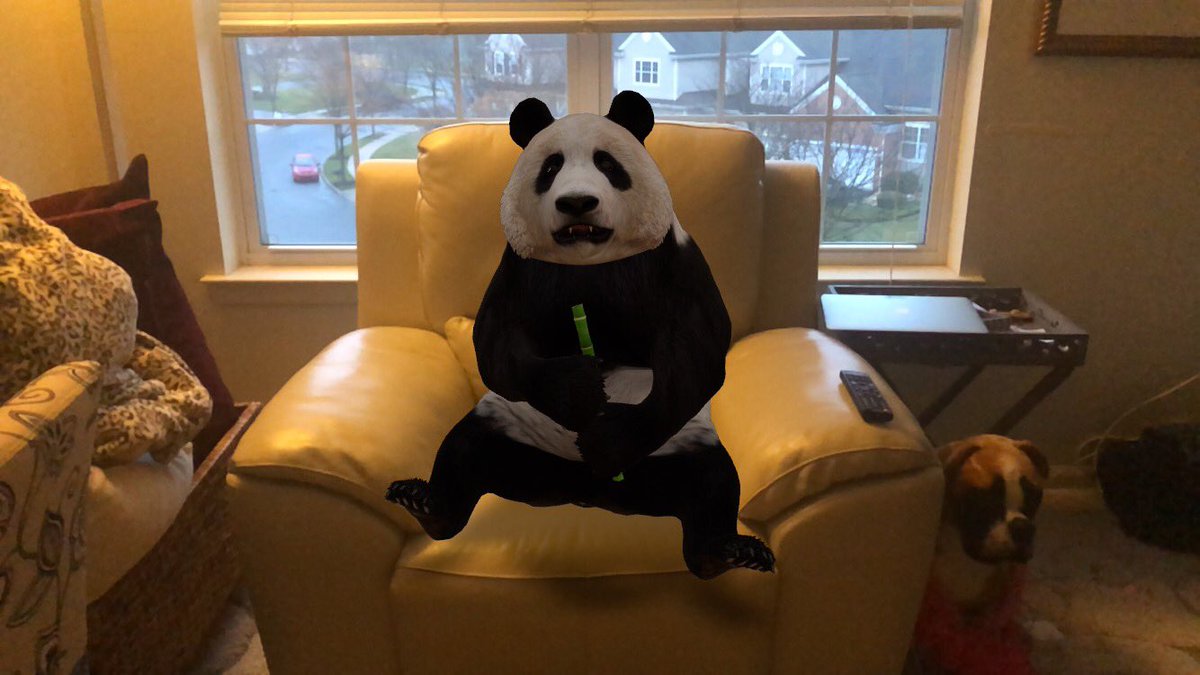 GiftedTawk's tweet photo. Google 3D animals and have some AR fun. Can you tell I’m bored? #AR https://t.co/qXASOxcPQR