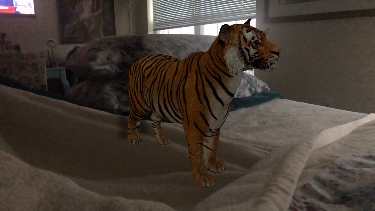GiftedTawk's tweet photo. Google 3D animals and have some AR fun. Can you tell I’m bored? #AR https://t.co/qXASOxcPQR