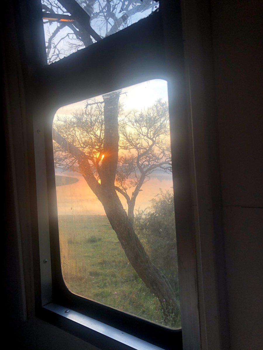1114El's tweet photo. En la 1er foto se ve el calado de la chapa para lo que sería la ventana frente a la cama... una idea que sabíamos íbamos a disfrutar 🤩
#casarodante #motorhome #campingcar #camping #autocaravana #airelibre #rodanteando #vanlife #viajesobreruedas https://t.co/t8D1QCxzx8