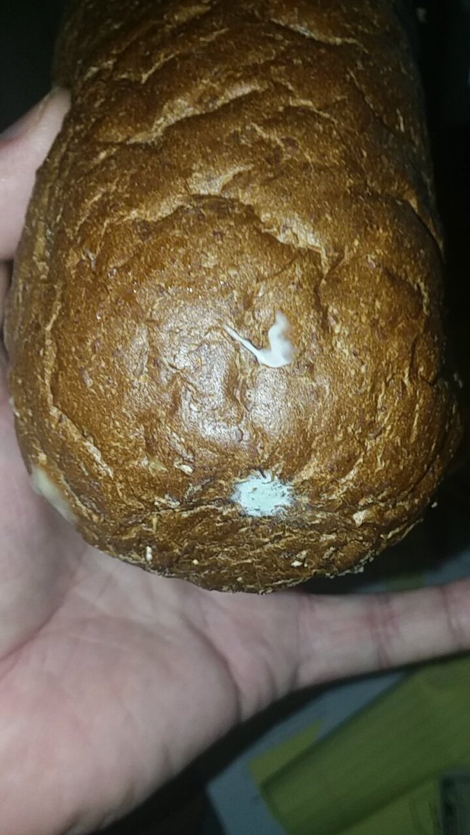 SrJaialai's tweet photo. hey @alisonfaye what would you do if you just got this delivered with your steak #moldybread https://t.co/STvZ5aUnOV