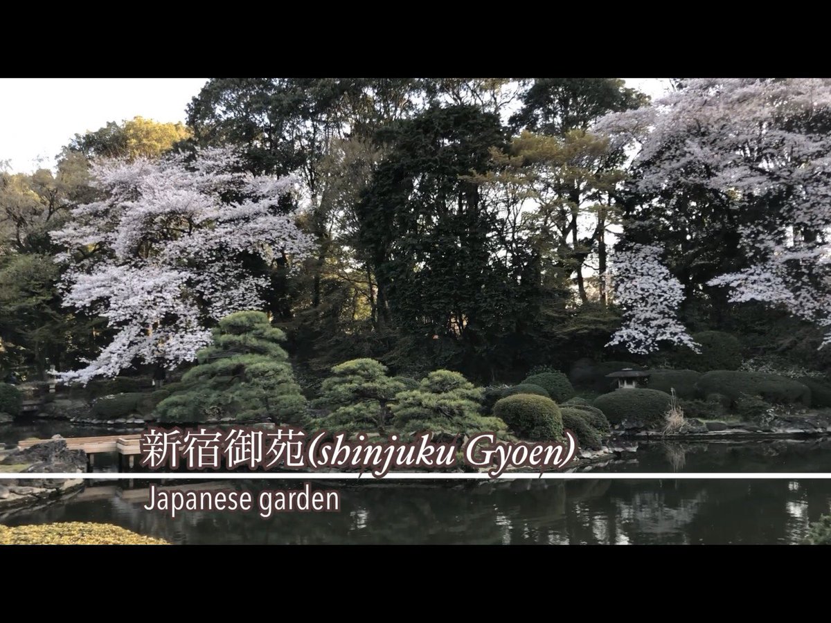 JapaneseWalk's tweet image. Shinjuku Gyoen! Japanese garden【part2】 youtu.be/0dS-BOTEfww @YouTube