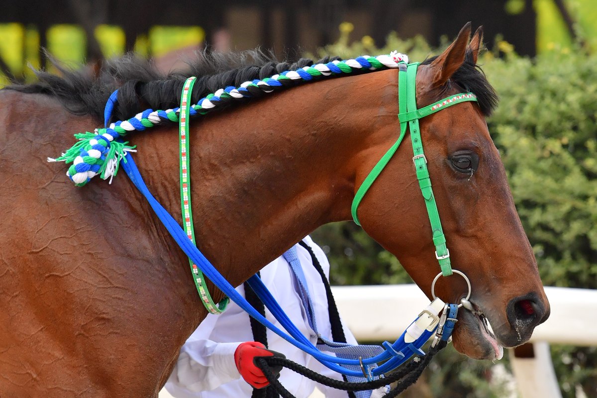 笠松競馬場 on X: 