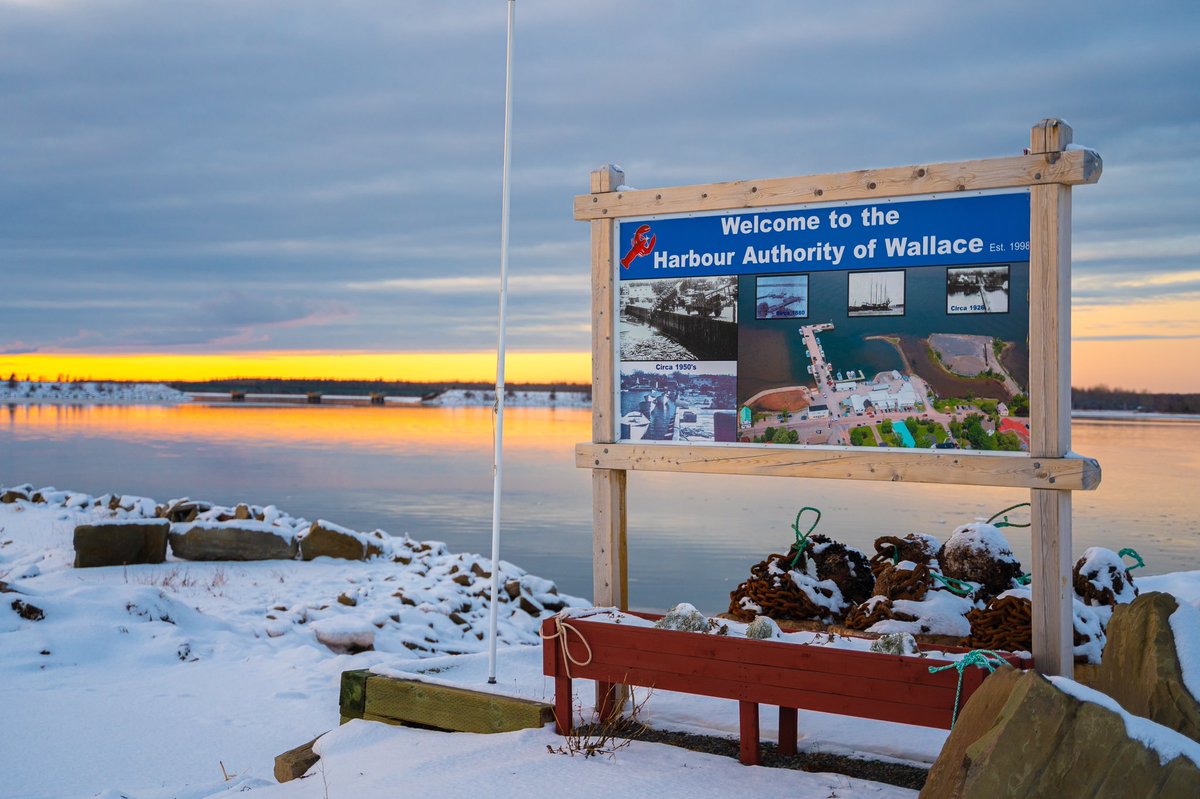 NovaSocialNS's tweet photo. Wallace, Nova Scotia is beautiful this time of year!
⠀
#NovaSocialMedia 🎥 https://t.co/bFst9kcCq0
⠀
#wallacens #novascotia #visitnovascotia #sunset https://t.co/jE8sjxjX1x