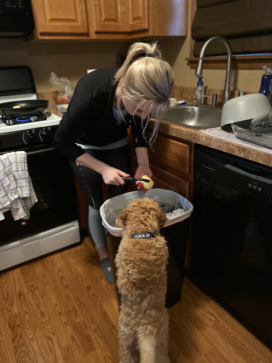 LusterJj's tweet photo. Teddy is helping make dessert tonight! https://t.co/Lt8nnVkgVm
