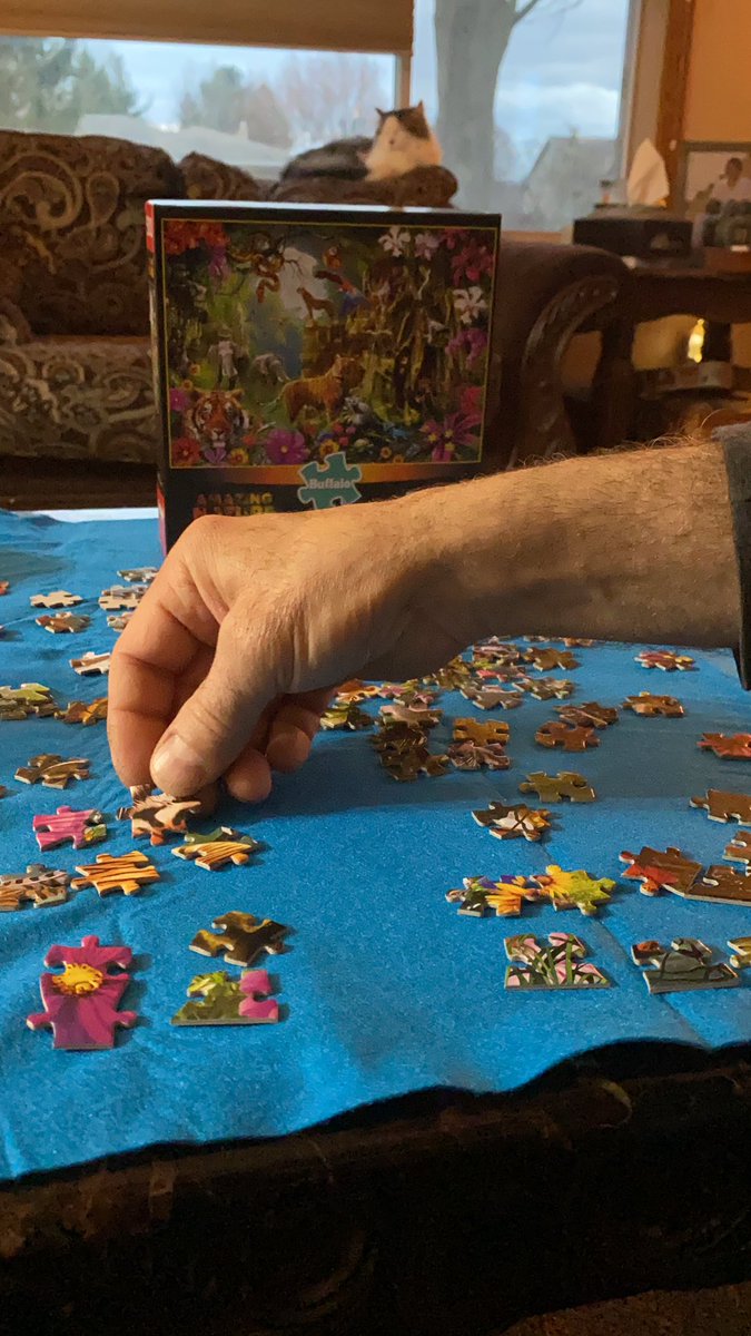 Vanna_Distefano's tweet photo. On the 5th day of #Quarantine my president said to me: break out your puzzles ‘cause you have two extra weeks until your free. https://t.co/DOgFU9Pppw