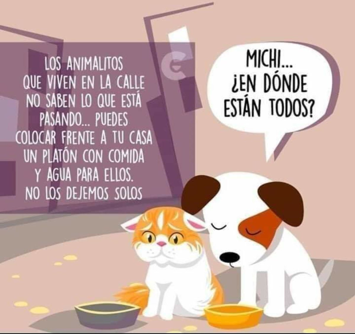 chef_betty's tweet photo. Podemos dejar dos platitos. Uno de agua y otro con con croquetas 
Dame un #RT están asustados y hambrientos. https://t.co/k8ZfbUKjjQ