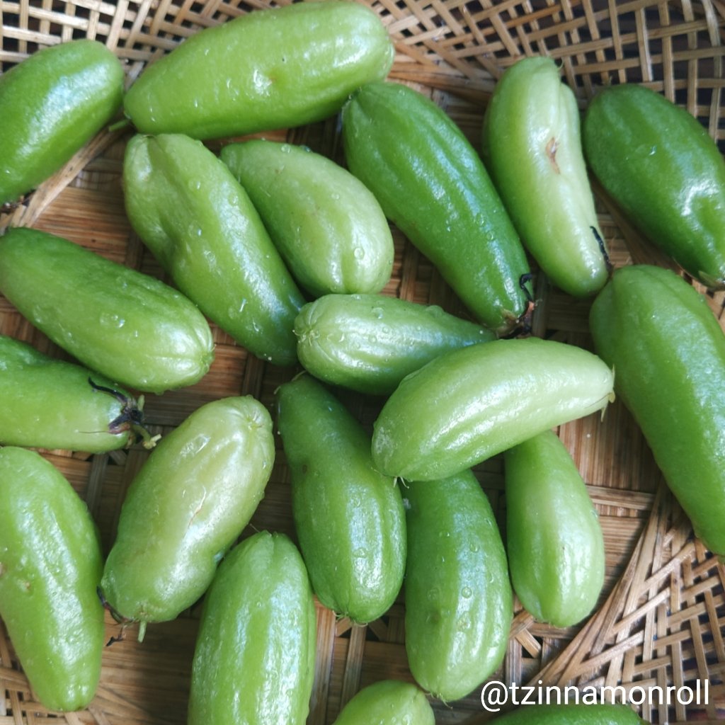 tzinnamonroll's tweet photo. This morning's harvest: kamias (Averrhoa bilimbi), yup, the sour fruit Hyungsik had a taste of at his First Love in Manila fan meeting 

Every time our tree bears fruits, I think of @ZEA_Hyungsik🥰.

cr. as watermarked https://t.co/tR1732E9kI