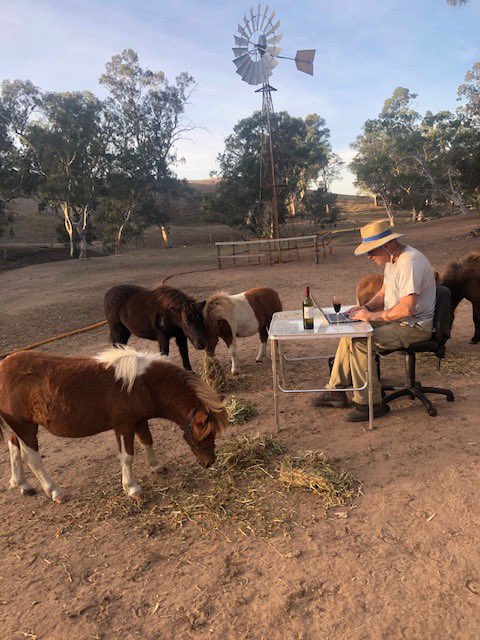 Invertebrate Systematics and Biodiversity Lab (@dnarthropods) on Twitter photo Home office c/o Andy Austin 🧑🏼💻🐴🍷Getting it done! You be the judge. <a href="/SoBSPA/">School of Biological Sciences Postgrad Association</a> @InvasionEcology <a href="/dnatimelord/">Jeremy Austin 🧬🕵🏻♂️🌈🚴♂️</a> <a href="/DrMGuzik/">Michelle Guzik</a> <a href="/DrEmSherratt/">Emma Sherratt</a> #UoAHomeOffice Home office c/o Andy Austin 🧑🏼💻🐴🍷Getting it done! You be the judge. <a href="/SoBSPA/">School of Biological Sciences Postgrad Association</a> @InvasionEcology <a href="/dnatimelord/">Jeremy Austin 🧬🕵🏻♂️🌈🚴♂️</a> <a href="/DrMGuzik/">Michelle Guzik</a> <a href="/DrEmSherratt/">Emma Sherratt</a> #UoAHomeOffice