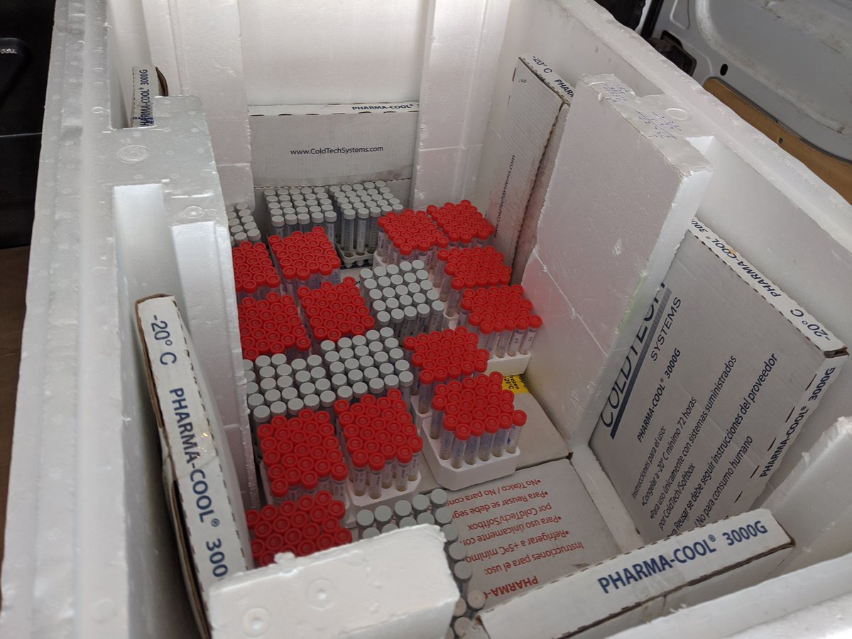 “INDICASAT AIP produce localmente un reactivo crítico para los diagnósticos de coronavirus. Actualmente hay un desabastecimiento global de este reactivo, ya que los países productores también lo necesitan y están limitando su exportación.”