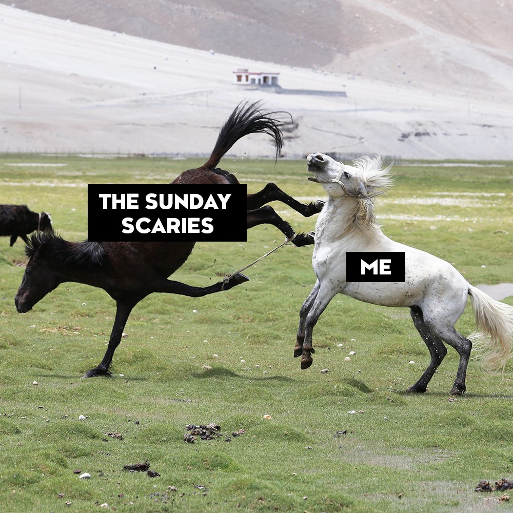 tridentgum's tweet photo. When the #sundayscaries hit, #chewthrough it https://t.co/1LJZNGK0yp