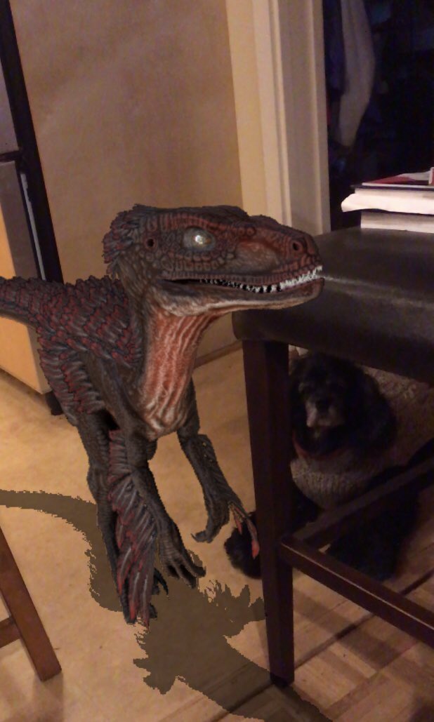 tikilittle's tweet photo. Doggos looking hungry #burkeathome @burkemuseum https://t.co/zLRBk7Msc7