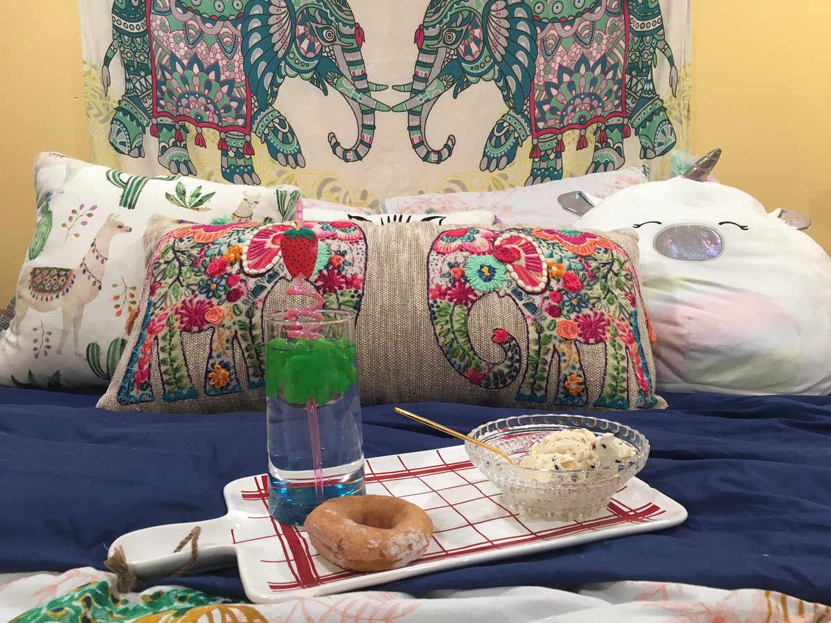 acidalexandra's tweet photo. @TLC can @iamnota_purv and i be on #90dayfiancepillowtalk?? weโve already got the snacking while watching #90dayfiancebeforethe90days down pat ๐๐ #donut #icecream #tlc #90dayfiance #elephants #snacksinbed #quarantine15 #hobbylobby #snacktray https://t.co/3ov4BJvvEw