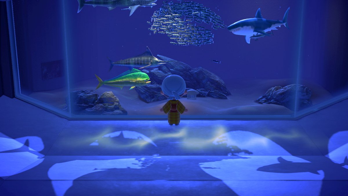 Erica Coble or Spin tweet media