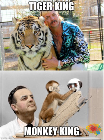 AP Psychology Review (@psych_review) on Twitter photo 