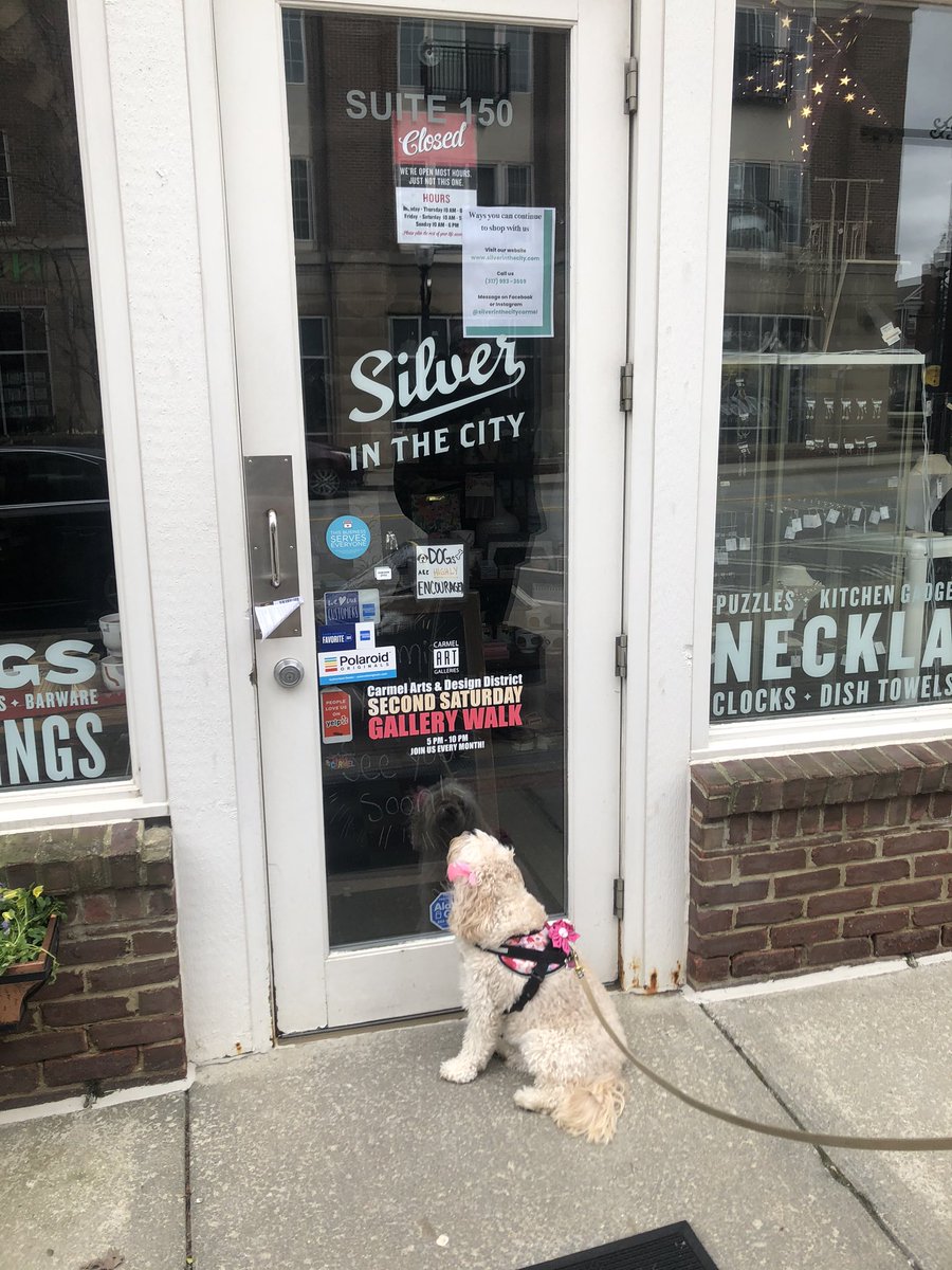 RubyRay0123's tweet photo. @silverinthecity I stopped by to see my friends and get a treat 🍬 but my momma said my favorite store is closed for awhile...I’ll be first in line when you reopen❤️#stayhealthyandsafe #wellgetthroughthis #StayHome #missmyfriends https://t.co/tpb2acBjZJ