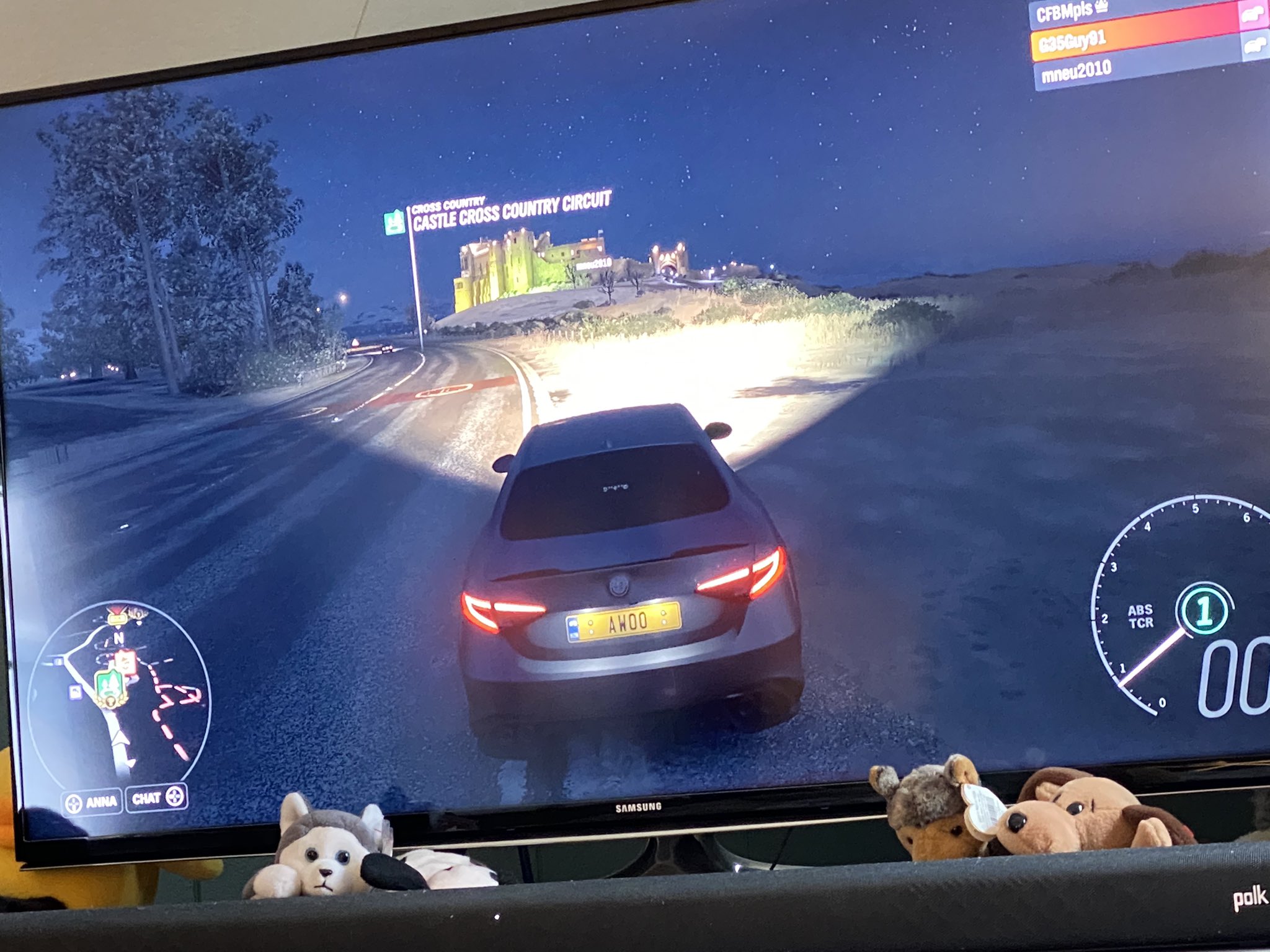 🐾 Half Fluffy, Half SqueakySomething on Twitter "My license plates