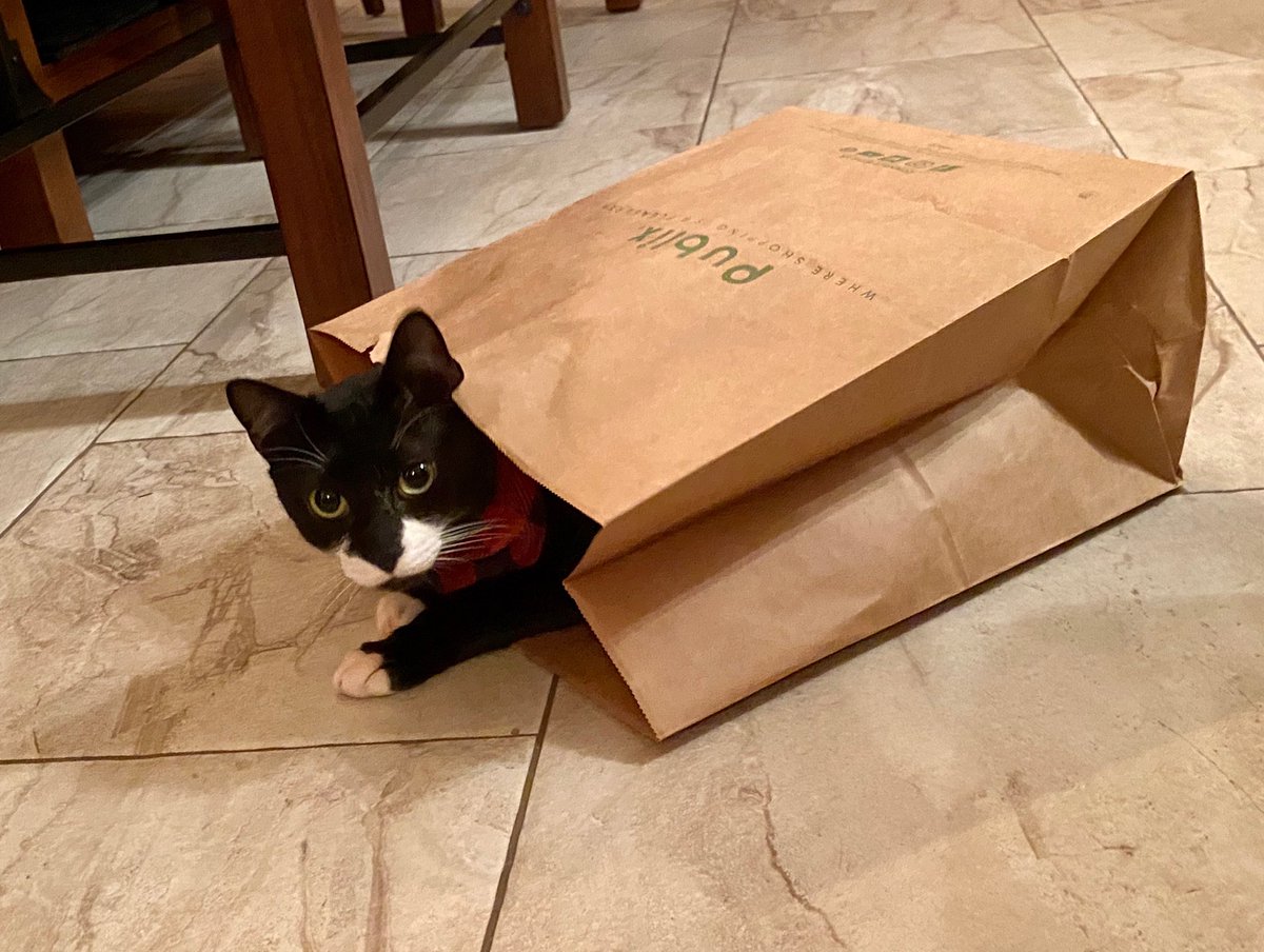 Samanthared1234's tweet photo. @Publix Jinx approved https://t.co/JCi5N4hh05