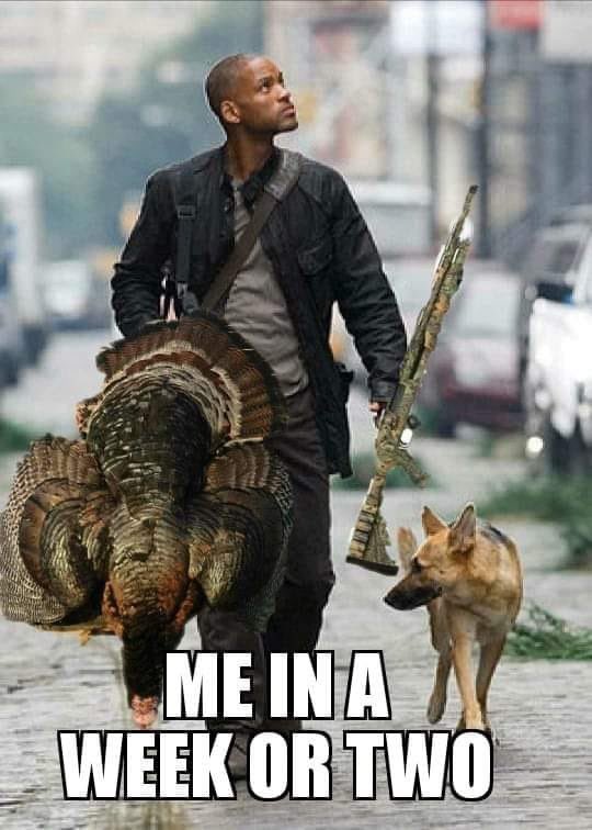 The Ladder Stand Buddy on Twitter "The Lone Hunter ☠️ humanwipeout 