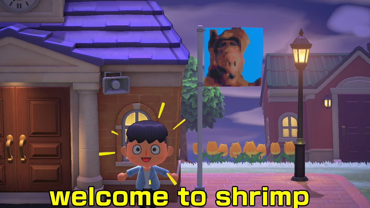 ZackGrc's tweet image. #AnimalCrossing #ACNH #NintendoSwitch