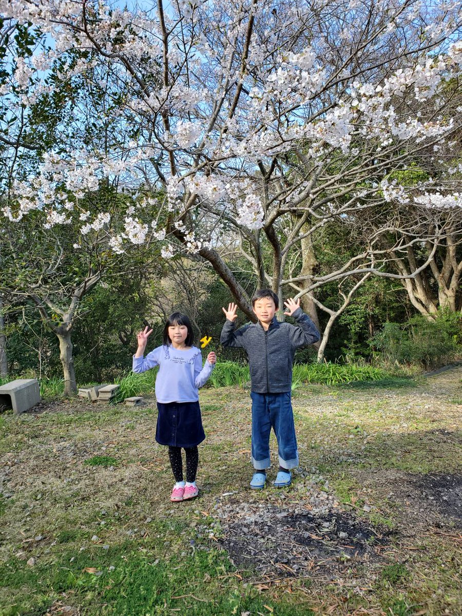 花の宿ペンショングリーンリーフ Greenleaf Awaji Twitter