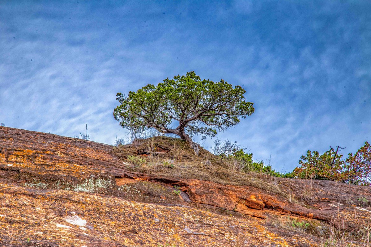 If these walls could talk. 
📸: Mike Hicks

zcu.io/MkFk
#rrcap #oklahoma #redrockok