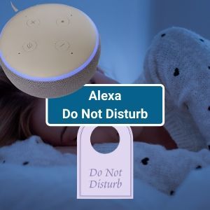 SmartHomeFocus's tweet image. Turn on Alexa Do Not Disturb. What does Do Not Disturb block? Get quick answers in this simple guide. #alexa #amazonecho #smarthome #homeautomatino buff.ly/2UPf85X