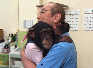亡くなった パンくん 志村さん死去 名コンビ・チンパンジーのパンくんトレーナーも「寂しい」